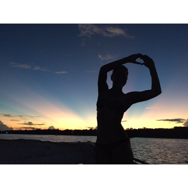 〰 P A L M E R A 🌴 T R O P I C A L 〰