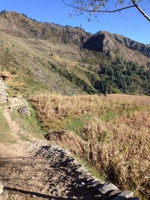 GorsiMushtaq's profile picture. 