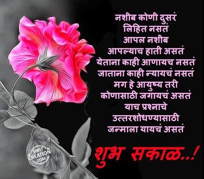 ankita_trisha's profile picture. 