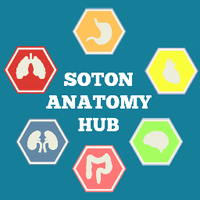 Soton Anatomy Hub (@sotonanatomyhub) 's Twitter Profile Photo Soton Anatomy Hub (@sotonanatomyhub) 's Twitter Profile Photo