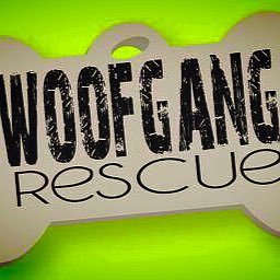 Woof Gang Rescue is a non-profit, no-kill, volunteer dog rescue organization serving the Wisconsin and Illinois areas. DATCP #402490