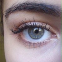 ❤️متيّم بك❤️ (@wrdcitilmbdhogm) 's Twitter Profile
