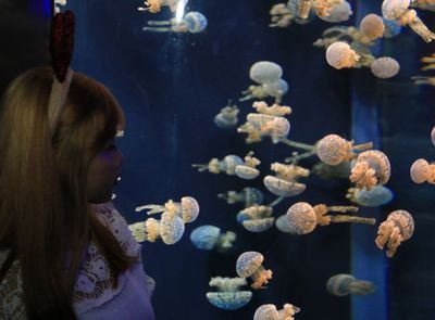 chenxinmin_'s profile picture. 