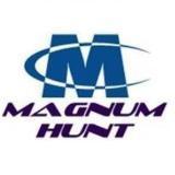 A Professional Contract and Permanent Staffing Firm specializing in the placement of skilled Professionals. Send your resumes to resumes@magnumhunt.com today.