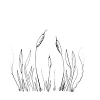 Bulrush Restaurant (@bulrushbs6) 's Twitter Profile