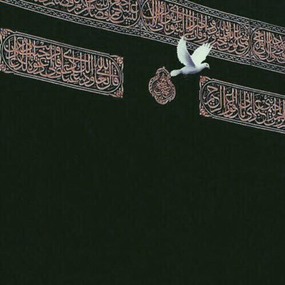 Alaaikarus's profile picture. اللهم اغفرلي و لوالدي