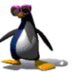 achimfritz73's profile picture.