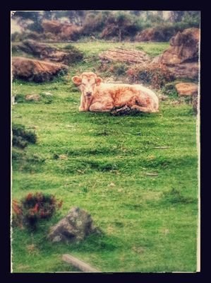 cossacks123's profile picture. add me on insta ryan__castrillon or add me on snapchat ryan_castrllon