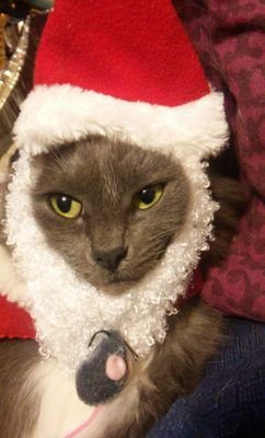 Santa suit enthusiast