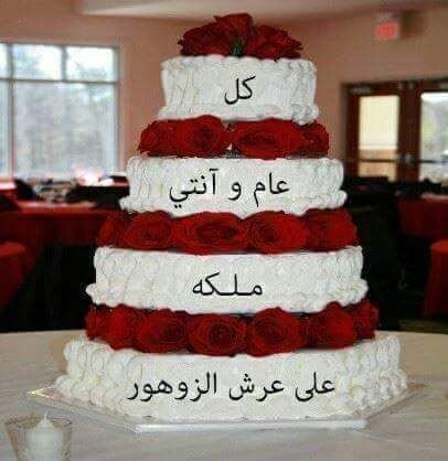 nassr_eddin2011's profile picture. 