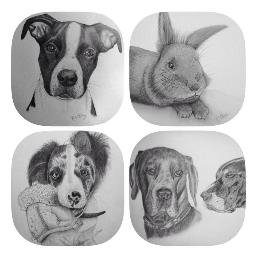 Hand drawn pet portraits from your photos. 
Prices start from £25.
Email or message me for more information. petportraitsbyrhian@outlook.com