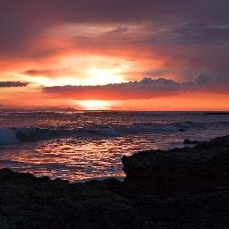 lsf_law's profile picture. 