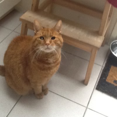 nuyen_mm's profile picture. 