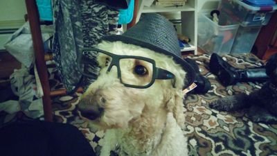 EvanMorawski's profile picture. 