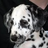 wherrers123's profile image