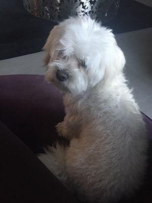 FredericDewon's profile picture. 