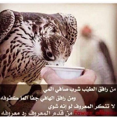 Al7ralshmmri's profile picture. 