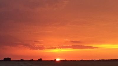 tomschwarz8's profile picture. 