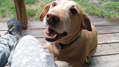 troymudders's profile picture. Old school, Loving Jesus, Loving my Wife, Loving my kids, every day is a Blessing