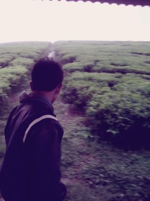 stiawanjhordy's profile picture. FOLLOW FOLLOW AND FOLLOW BACK !