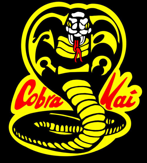 KobraKai's profile picture. Matt Szymczyk is CEO and founder of Zugara, a Los Angeles-based Augmented Reality company that is changing the face of multi-channel retail.