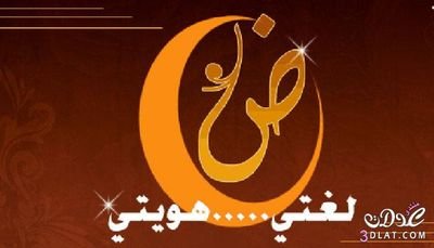 moha7490's profile picture. 