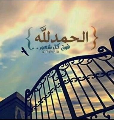 R0se290's profile picture. ‏الحمدلله كثيرا ..