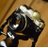 shin81_jp