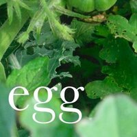 Egg, Brooklyn (@eggrestaurant) 's Twitter Profile