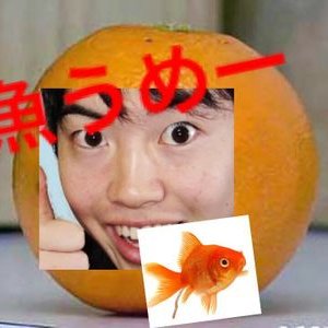 マスオはうざい魚殺し Tv Twitter マスオはうざい魚殺し Tv Twitter