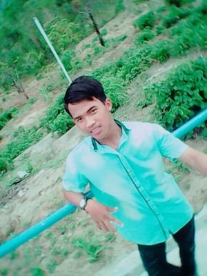 aripurnama05's profile picture. 