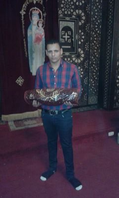 pmjDeSM32ZLYWnU's profile picture. 