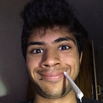 DiogoLNMSDR's profile picture. smokes weed and loves anime about covers it