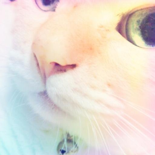 mozu_torihiki's profile picture. お取り引き用アカウント ／ 成人済み ／ ヒプノシスマイク ／ 7ORDER ／ ちいかわ(モモンガ)