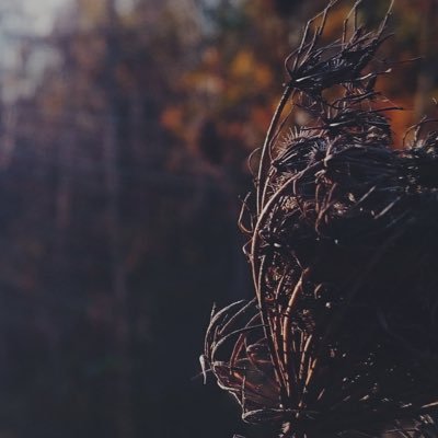 FlocsGraphics's profile picture. Minecraft Designer