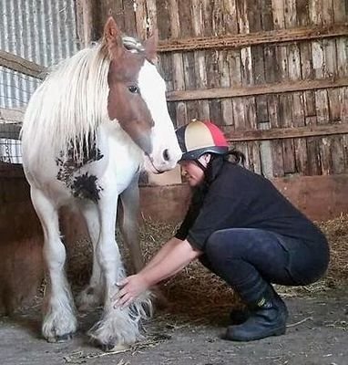 ✨ A spiritual equine rehabilitation and rehoming centre for the abandoned, neglected and unwanted in Leicestershire and beyond. Privately and donation funded ✨