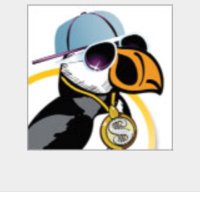 puffin (@funkypuffin2015) 's Twitter Profile