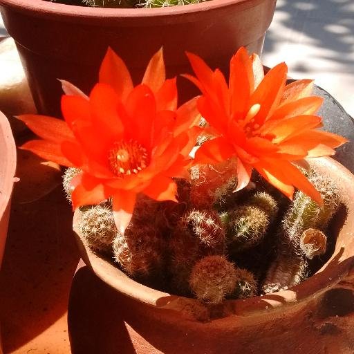 madriana171's profile picture. 