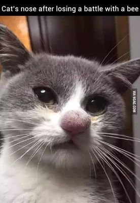 Misskarikaro's profile picture. 