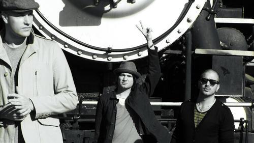 birdsofnewyork's profile picture. 