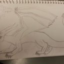 Elissa Cooper - @elissa_cooper5 - Twitter