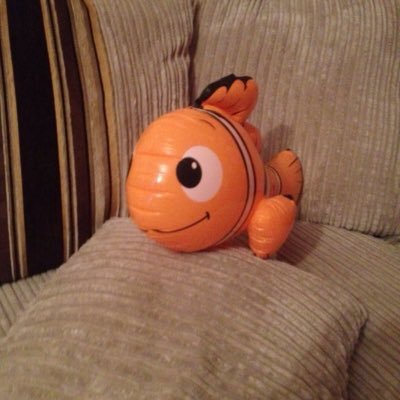 swishy3's profile picture. 