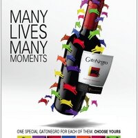 GatoNegroWines (@gatonegrowines) 's Twitter Profile