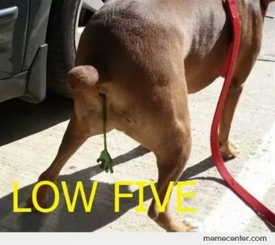 cooterlovesmeth's profile picture. 