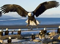 mvalliza's profile picture. 