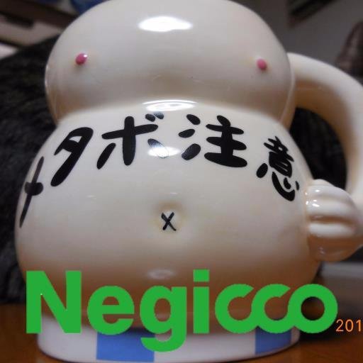 新潟市の横七番町生まれ。 Negicco,Chelip,安中由依,本宮宏美,北湯口舞,TSUNEI 推しです。