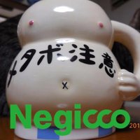 つるまき＠ねぎヲタ夫婦 (@momotsuru) Twitter profile photo