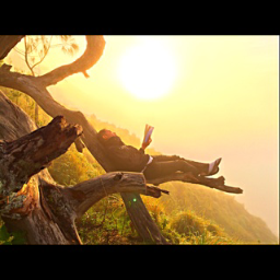 lombokholiday5's profile picture. Reservation hotel- Tour- Transport- Antar jemput, All in (car+ driver+ bbm) info Liburan LOMBOK ,Pin bb7D8C84B2, hp:+6281917392648