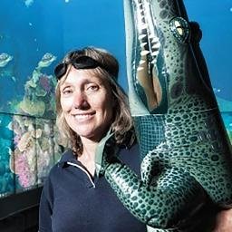 Kerrie Mengersen Profile