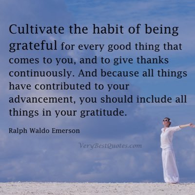 ginidilley's profile picture. 